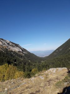 Pirin Mountain summer